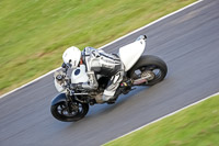 Evening Low_Mid Group White Bikes